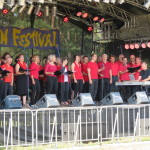 2015-07-18 Südwinsenfestival (1)