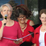 2015-07-18 Südwinsenfestival (3)